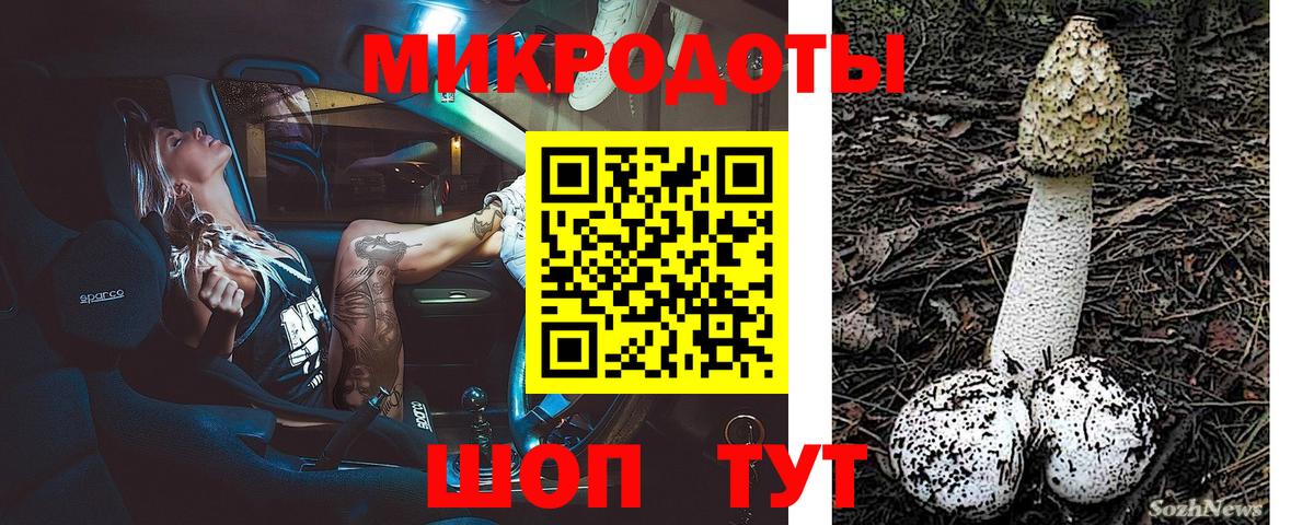 Псилоцибиновые грибы Magic Shrooms Гусиноозёрск