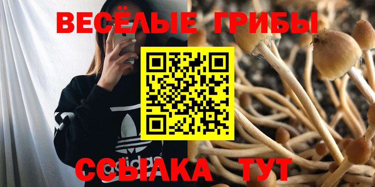 купить наркотики цена  Гусиноозёрск  Галлюциногенные грибы прущие грибы 