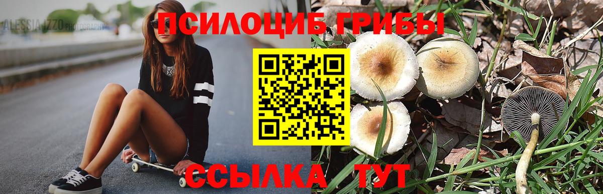 Гусиноозёрск  Псилоцибиновые грибы мицелий  Вход с VPN 